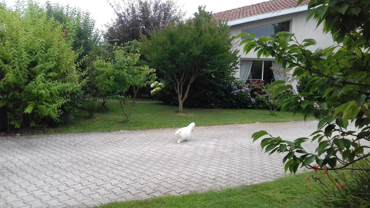 Le Jardin De Nemo Bed and Breakfast Biscarrosse Εξωτερικό φωτογραφία
