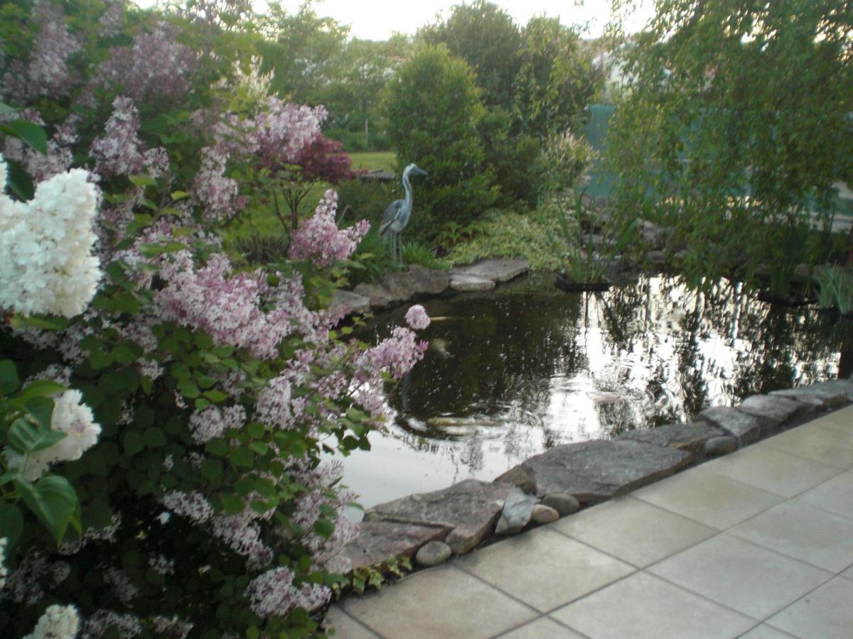 Le Jardin De Nemo Bed and Breakfast Biscarrosse Εξωτερικό φωτογραφία
