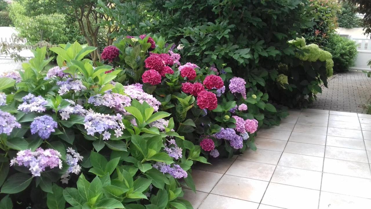 Le Jardin De Nemo Bed and Breakfast Biscarrosse Εξωτερικό φωτογραφία